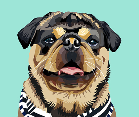 Furbaby Sketches Artwork